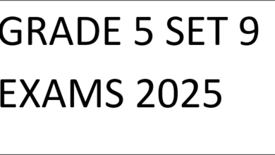 GRADE 5 SET 9 EXAMS 2025
