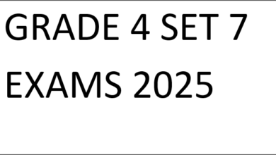 GRADE 4 SET 7 EXAMS 2025