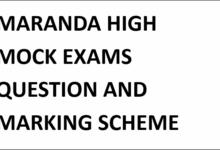 MARANDA HIGH MOCK EXAMS QUESTION AND MARKING SCHEME