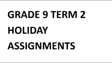 GRADE 9 TERM 2 HOLIDAY ASSIGNMENTS