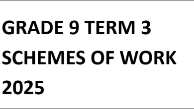 GRADE 9 TERM 3 SCHEMES OF WORK 2025