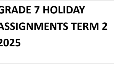 GRADE 7 HOLIDAY ASSIGNMENTS TERM 2 2025