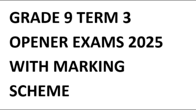 GRADE 9 TERM 3 OPENER EXAMS 2025 WITH MARKING SCHEME