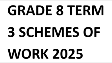 GRADE 8 TERM 3 SCHEMES OF WORK 2025