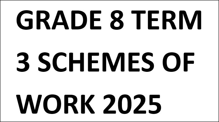 GRADE 8 TERM 3 SCHEMES OF WORK 2025