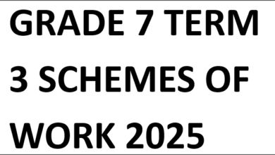 GRADE 7 TERM 3 SCHEMES OF WORK 2025