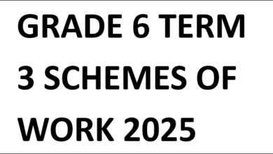 GRADE 6 TERM 3 SCHEMES OF WORK 2025