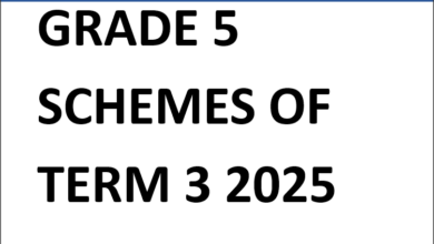GRADE 5 SCHEMES OF TERM 3 2025