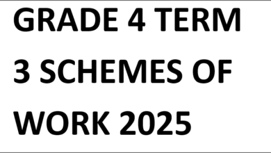 GRADE 4 TERM 3 SCHEMES OF WORK 2025