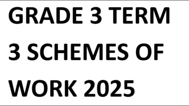 GRADE 3 TERM 3 SCHEMES OF WORK 2025