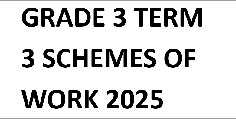 GRADE 3 TERM 3 SCHEMES OF WORK 2025