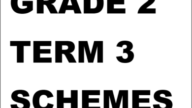 GRADE 2 TERM 3 SCHEMES OF WORK 2025