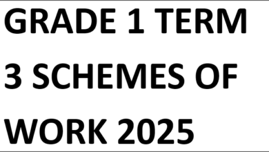 GRADE 1 TERM 3 SCHEMES OF WORK 2025