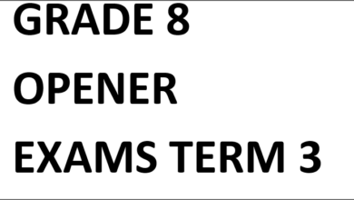 GRADE 8 OPENER EXAMS TERM 3 2025