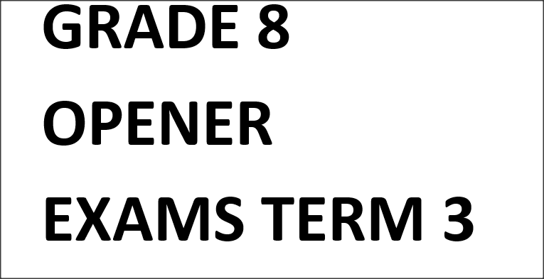 GRADE 8 OPENER EXAMS TERM 3 2025