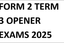 FORM 2 TERM 3 OPENER EXAMS 2025