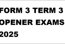 FORM 3 TERM 3 OPENER EXAMS 2025
