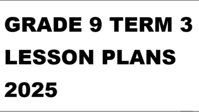 GRADE 9 TERM 3 LESSON PLANS 2025