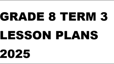 GRADE 8 TERM 3 LESSON PLANS 2025