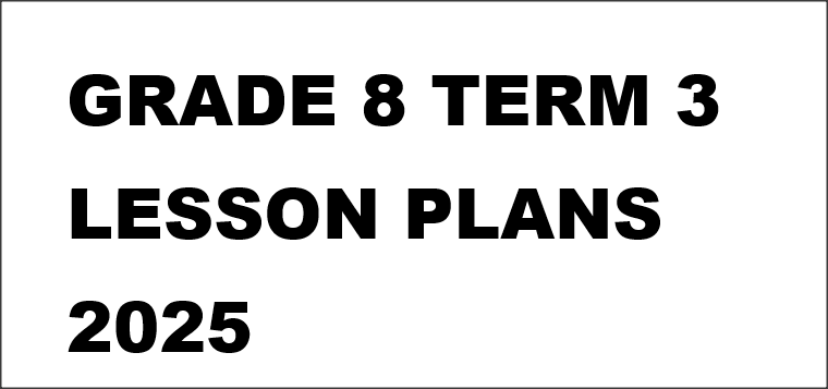 GRADE 8 TERM 3 LESSON PLANS 2025