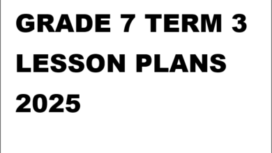 GRADE 7 TERM 3 LESSON PLANS 2025
