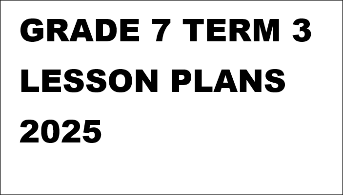 GRADE 7 TERM 3 LESSON PLANS 2025