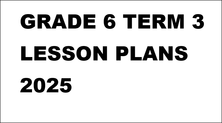 GRADE 6 TERM 3 LESSON PLANS 2025