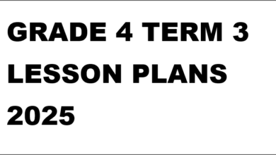 GRADE 4 TERM 3 LESSON PLANS 2025