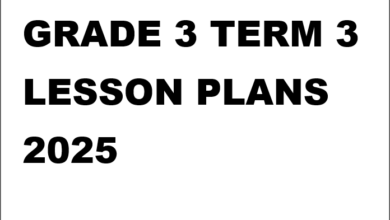 GRADE 3 TERM 3 LESSON PLANS 2025