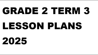 GRADE 2 TERM 3 LESSON PLANS 2025