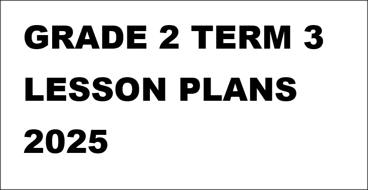 GRADE 2 TERM 3 LESSON PLANS 2025
