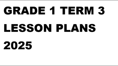 GRADE 1 LESSON PLANS TERM 3 2025