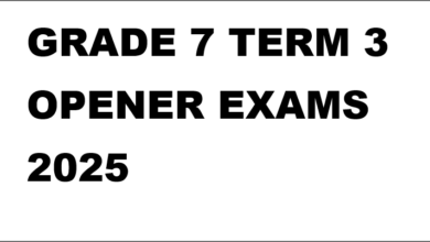 GRADE 7 TERM 3 OPENER EXAMS 2025