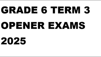 GRADE 6 TERM 3 OPENER EXAMS 2025