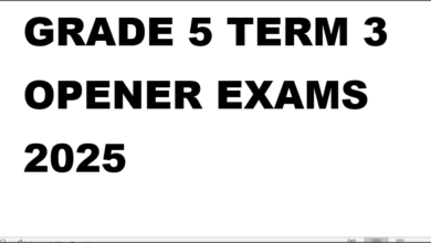 GRADE 5 TERM 3 OPENER EXAMS 2025