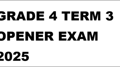 GRADE 4 TERM 3 OPENER EXAM 2025