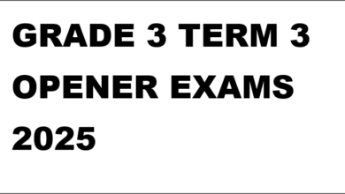 GRADE3 TERM 3 OPENER EXAMS 2025