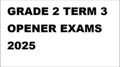 GRADE 2 TERM 3 OPENER EXAMS 2025