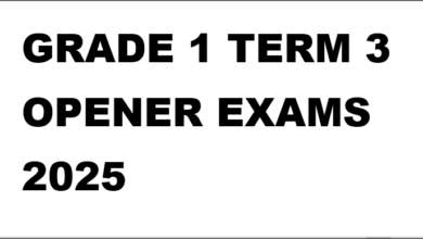 GRADE 1 TERM 3 OPENER EXAMS 2025