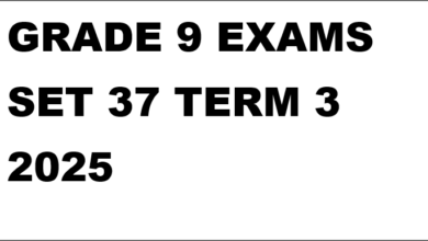 GRADE 9 EXAMS SET 37 TERM 3 2025