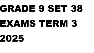 GRADE 9 SET 38 EXAMS TERM 3 2025