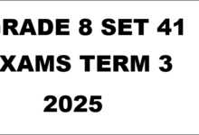 GRADE 8 SET 41 EXAMS TERM 3 2025