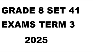 GRADE 8 SET 41 EXAMS TERM 3 2025