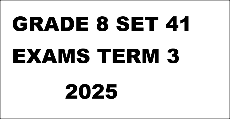 GRADE 8 SET 41 EXAMS TERM 3 2025