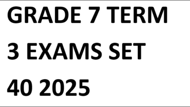 GRADE 7 TERM 3 EXAMS SET 40 2025