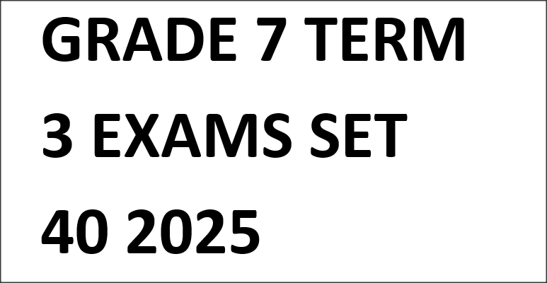 GRADE 7 TERM 3 EXAMS SET 40 2025