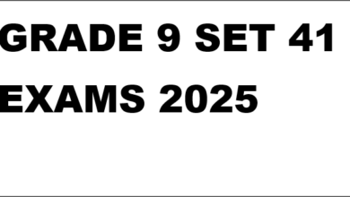GRADE 9 SET 41 EXAMS 2025