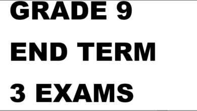 GRADE 9 END TERM 3 EXAMS 2025