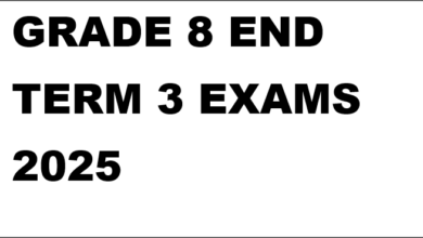 GRADE 8 END TERM 3 EXAMS 2025