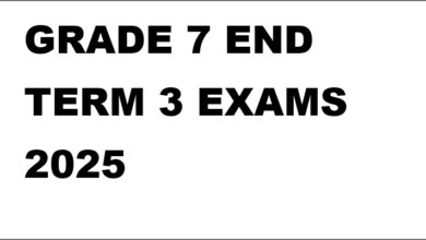 GRADE 7 END TERM 3 EXAMS 2025